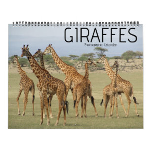 calendario grande safari de jirafas 2027