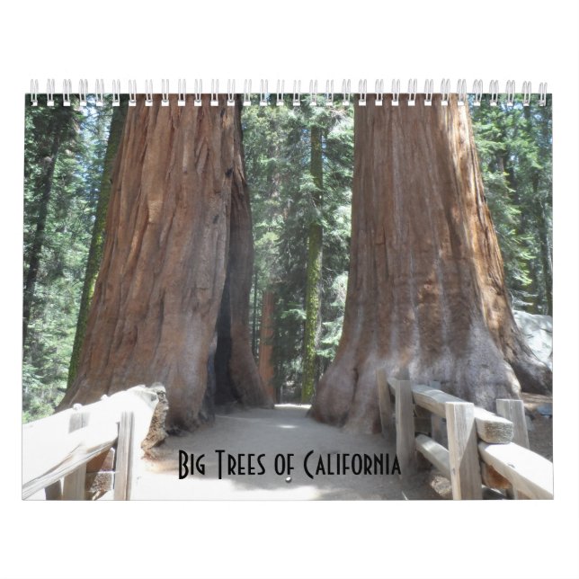 Calendario Grandes árboles de California (Tapa)