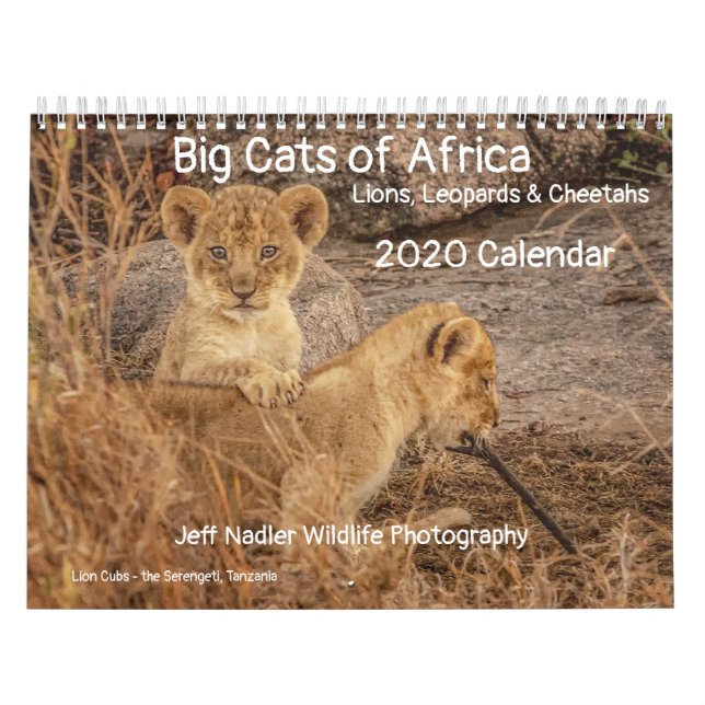 Calendario Grandes Gatos de África: Leones, leopardos 2020 (Tapa)