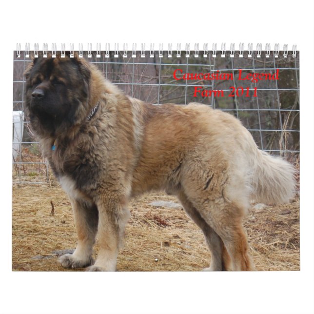 Calendario Granja caucásica de la leyenda (Tapa)