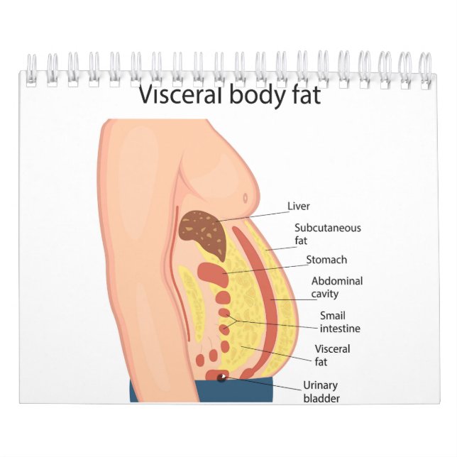 Calendario Grasa corporal visceral (Tapa)