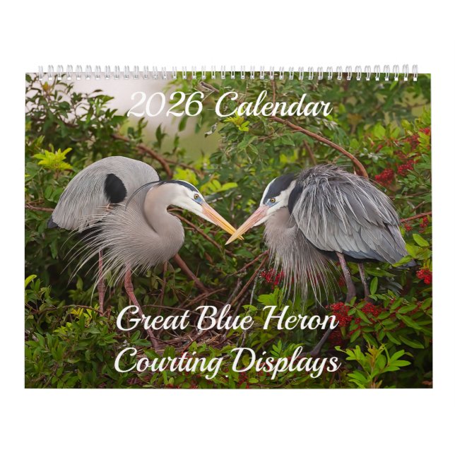 Calendario Great Blue Heron Courting Displays Calendar (Tapa)