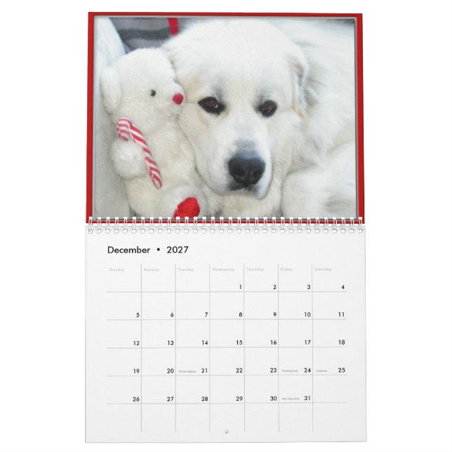 Calendario Great Pyrenees Calendar (Dec 2027)