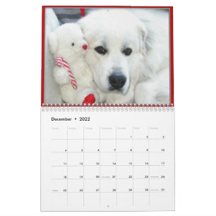 Calendario Great Pyrenees Calendar
