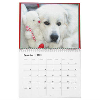 Calendario Great Pyrenees Calendar