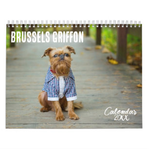 Calendario Griffon de Bruselas de 2026