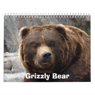 Calendario grizzly-bear-017, oso grizzly