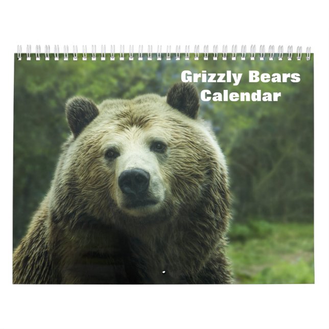 Calendario Grizzly Bears (Tapa)