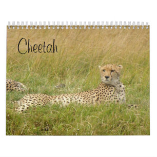 Calendario Guepardo 2008