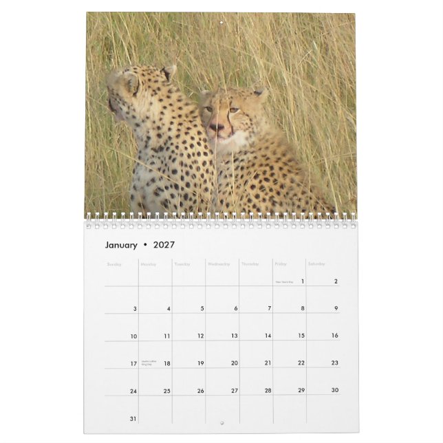 Calendario Guepardo 2008 (Jan 2027)