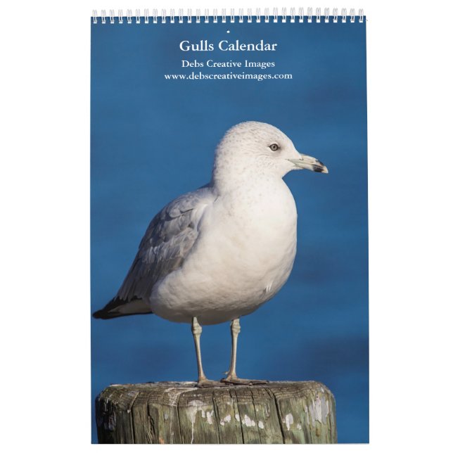 Calendario Gulls 2026 (Tapa)