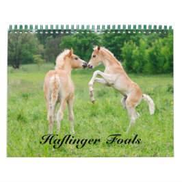 Calendario Haflinger Foals - tamaño mediano