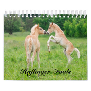 Calendario Haflinger Foals - tamaño pequeño