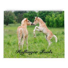 Calendario Haflinger pare el tamaño 2017 grande