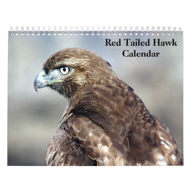 Calendario Halcón rojo de cola 2025 (Tapa)