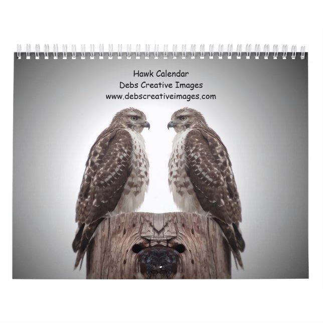 Calendario Halcones en estado salvaje 2026 (Tapa)