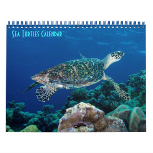 Calendario Halksbill Sea Turtle Gran Barrera Coral Mar de Arr