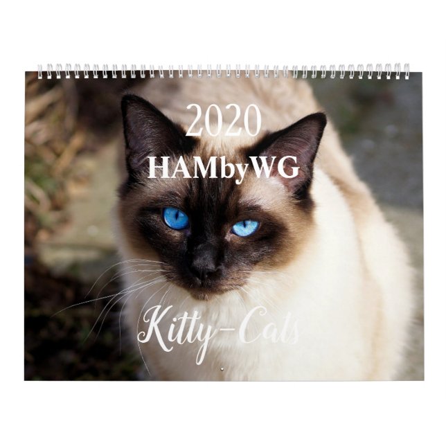 Calendario HAMbyWG 2020 Kitty-Cats (Tapa)