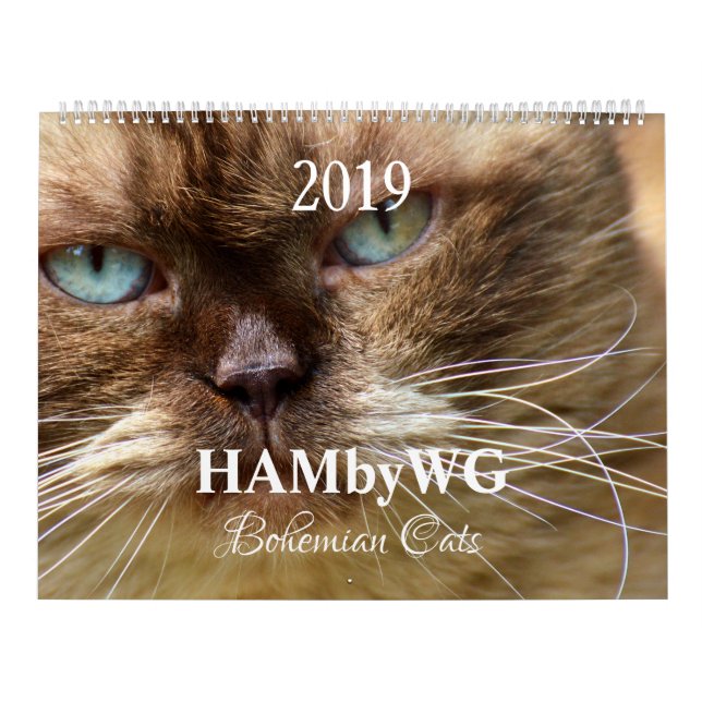 Calendario HAMbyWG - Gatos bohemios (Tapa)