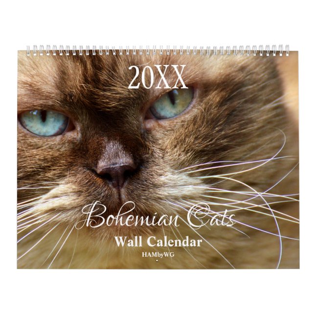 Calendario HAMbyWG - Gatos bohemios (Tapa)