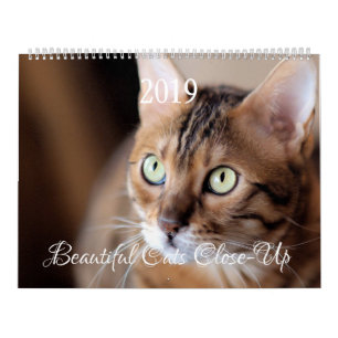 Calendario HAMbyWG - Gatos maravillosos