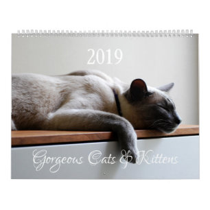 Calendario HAMbyWG - Gatos maravillosos