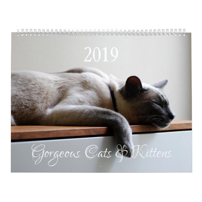 Calendario HAMbyWG - Gatos maravillosos (Tapa)
