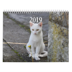 Calendario HAMbyWG Kitten
