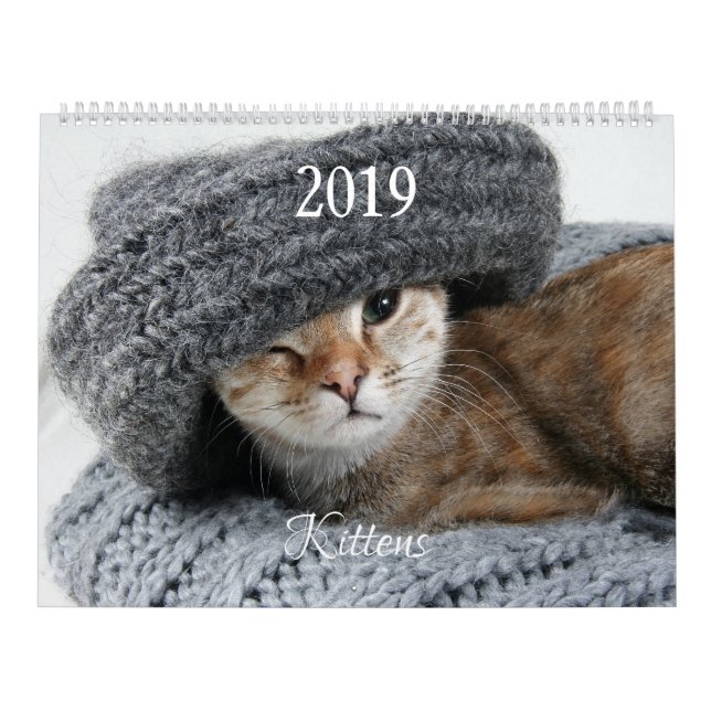 Calendario HAMbyWG Kitten (Tapa)