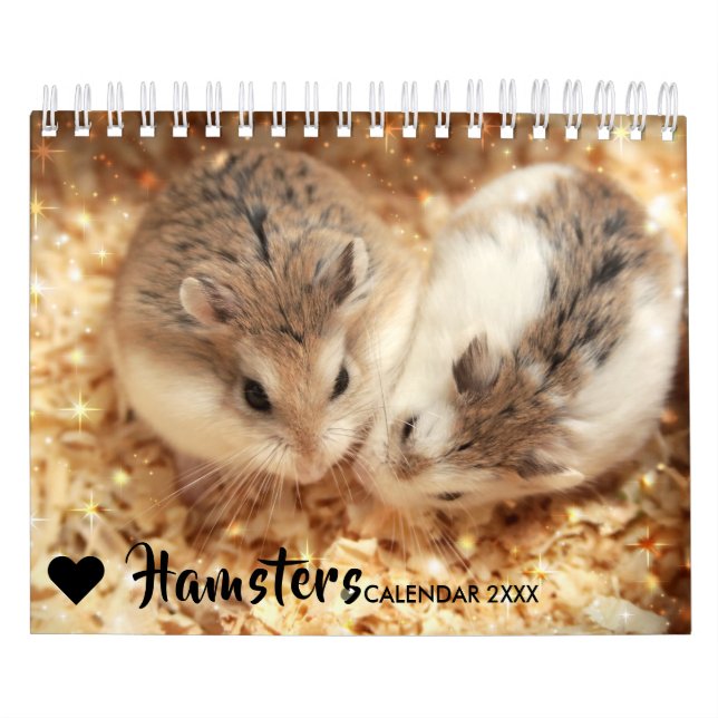 Calendario Hammyville - chispa (Tapa)