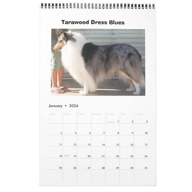 Calendario Harley Collies (Jan 2026)