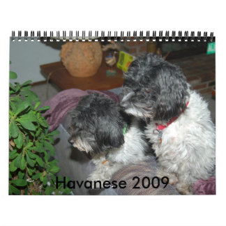 Calendario Havanese 2009