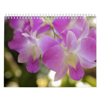 Calendario hawaiano de la flor y de la orquídea