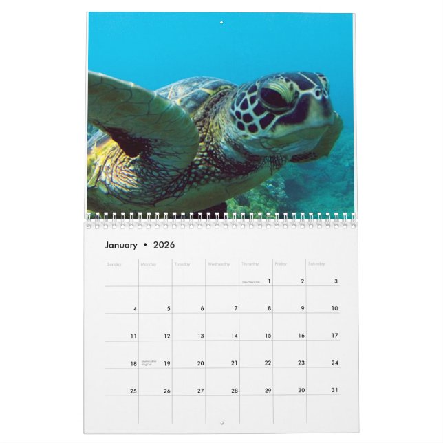 Calendario Hawaii (Jan 2026)