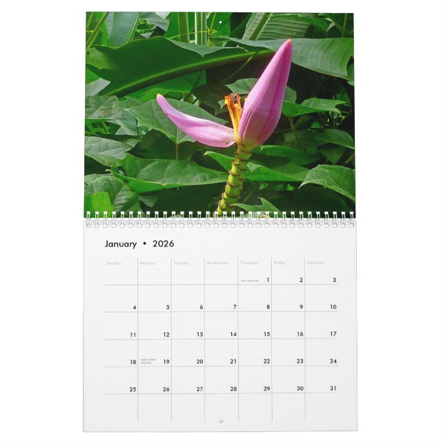 Calendario Hawaii tropical (Jan 2026)