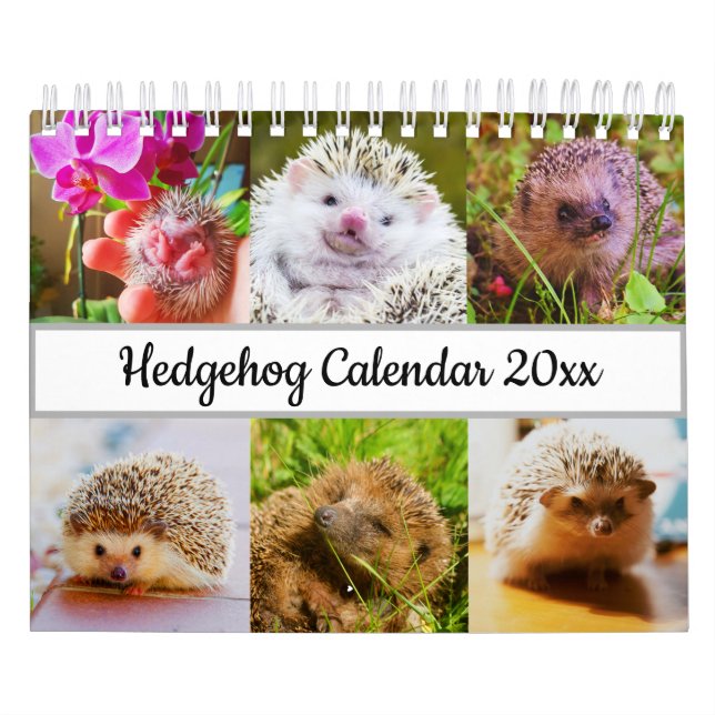 Calendario Hedgehog (Tapa)