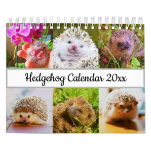 Calendario Hedgehog
