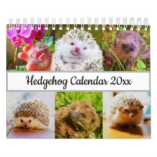 Calendario Hedgehog