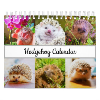 Calendario Hedgehog