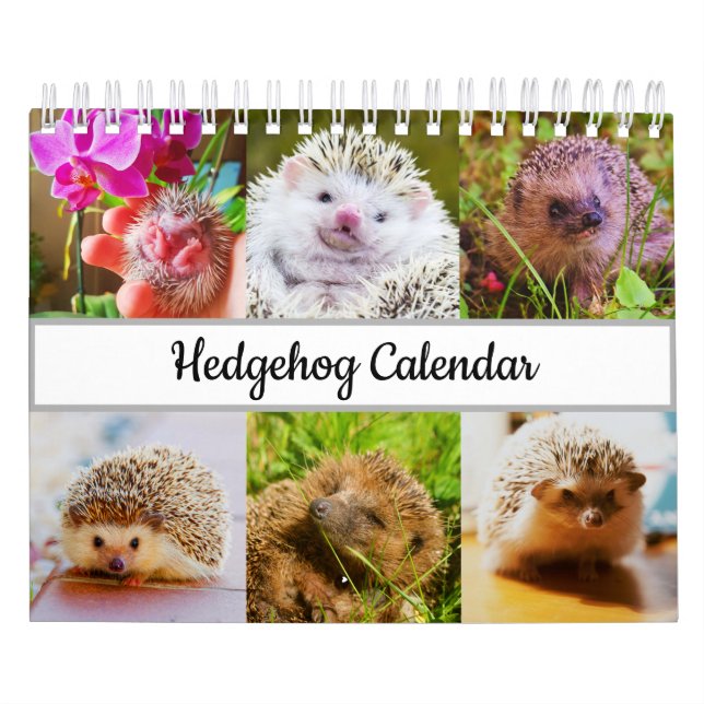 Calendario Hedgehog (Tapa)
