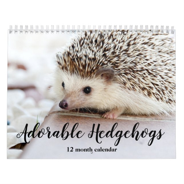 Calendario Hedgehogs Adorable 2026 (Tapa)