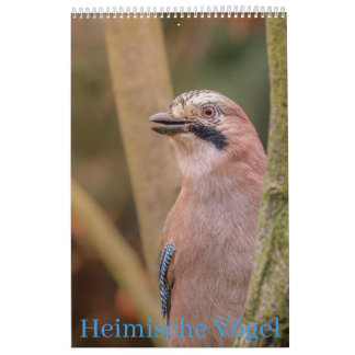 Calendario Heimische Vögel Kalender
