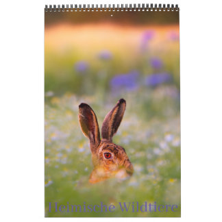 Calendario Heimische Wildtiere Kalender