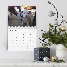 Calendario Hello Pet Puppy Custom