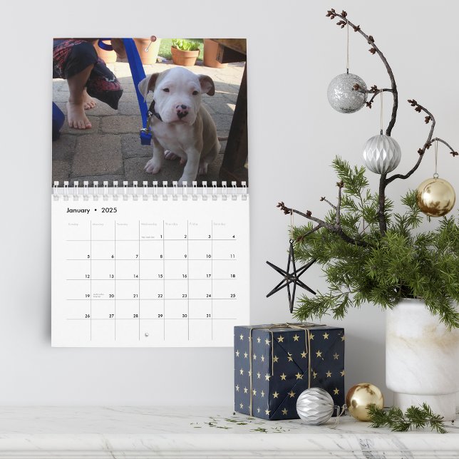 Calendario Hello Pet Puppy Custom (Hello Pet Puppy Custom Calendar)
