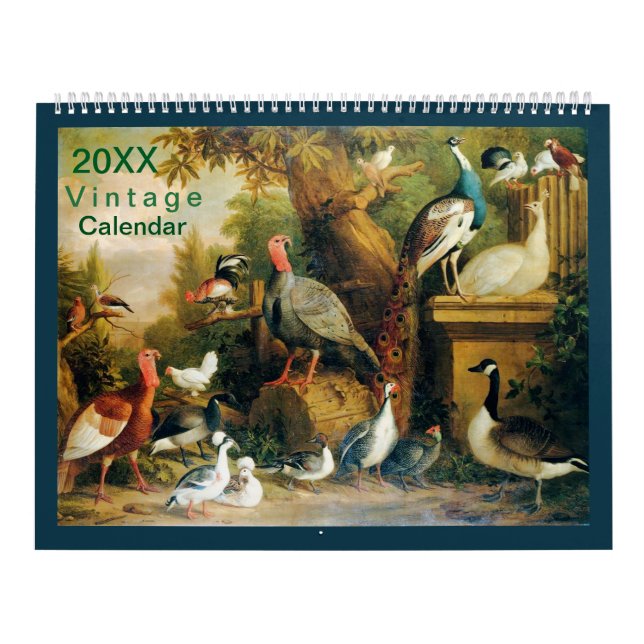 Calendario Hermosa colección de aves con sentido vintage (Tapa)