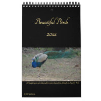 Hermosa fotografía de Birds Nature Birders 2026