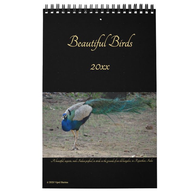 Calendario Hermosa fotografía de Birds Nature Birders 2026 (Tapa)