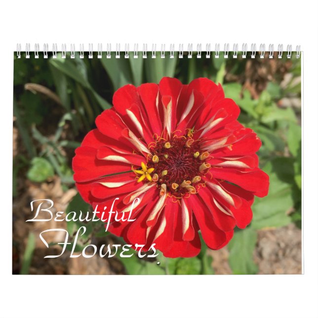Calendario Hermosa fotografía de flores (Tapa)