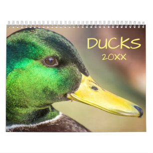 Calendario Hermosa fotografía de patos
